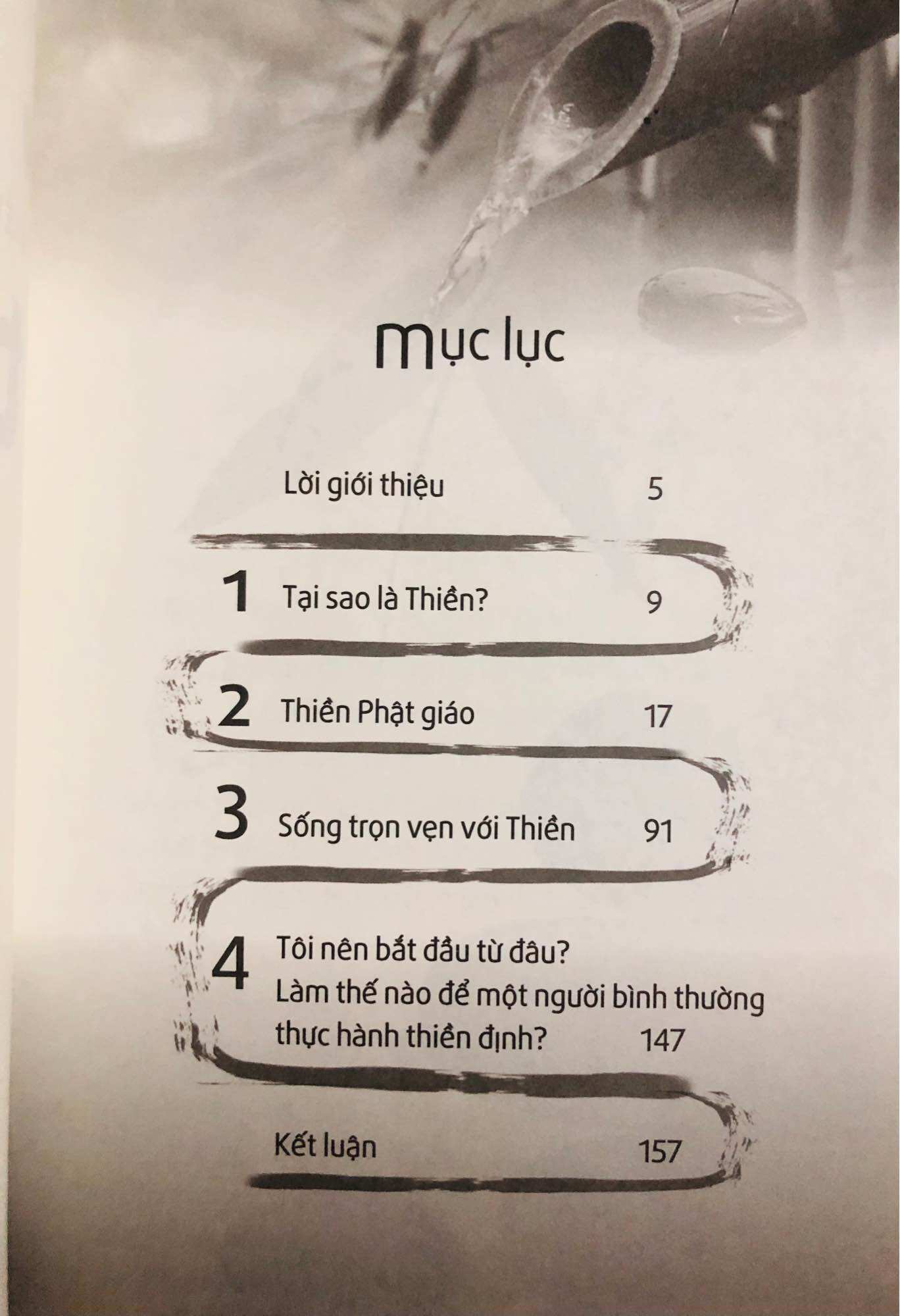 Thiền Cho Người Mới Bắt Đầu (Sống Hạnh Phúc Bình Yên và Chánh Niệm)