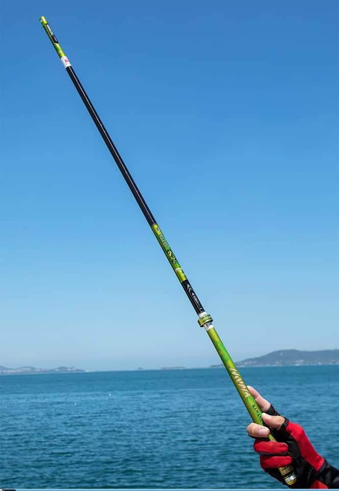 Cần câu cá rồng xanh