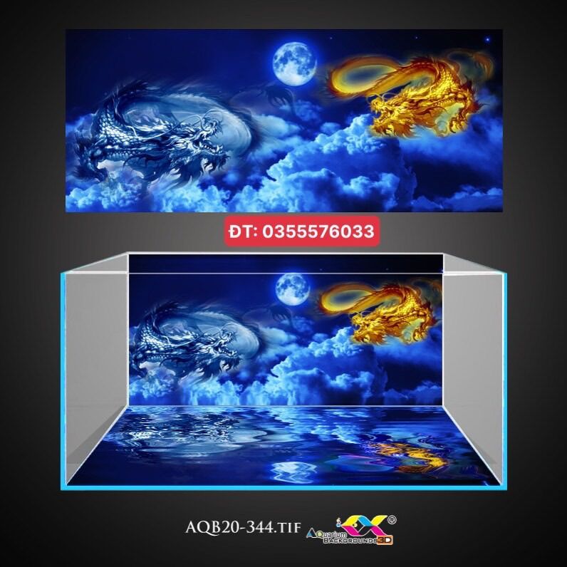 Tranh 3D dán bể cá siêu đẹp, siêu ấn tượng, tranh có keo sẵn trên bề mặt, có thể làm theo kích thước yêu cầu (mã AQB20-344)