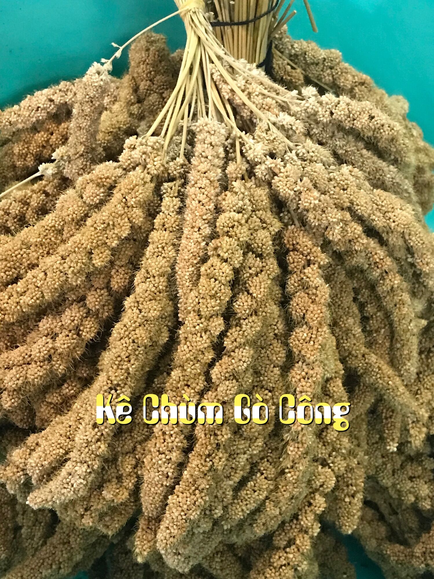 Kê chùm gò công bông dài