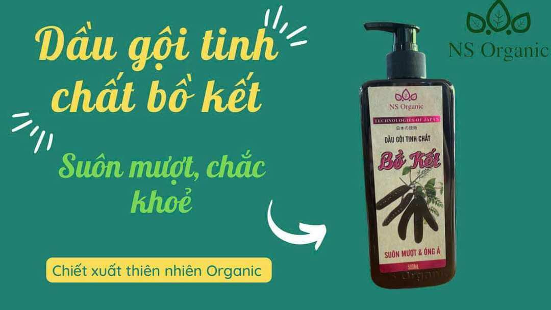 dầu gội thảo dược tinh chất bồ kết NS Ogranic 500ml