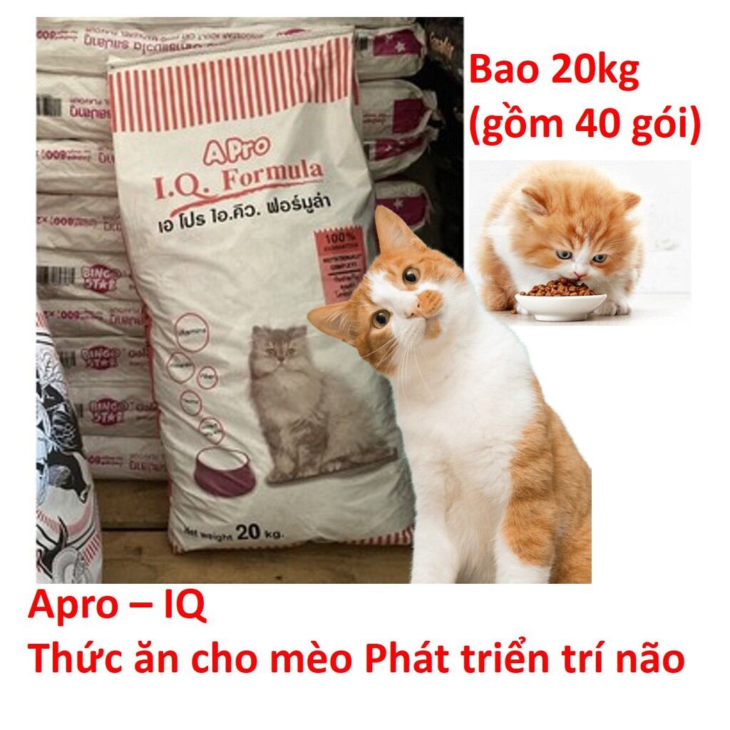 Hạt mèo Apro 500g