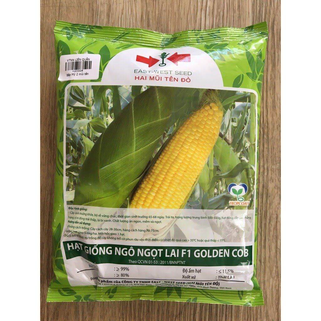 hạt giống ngô ngọt (bắp mỹ) 2 mũi tên đỏ