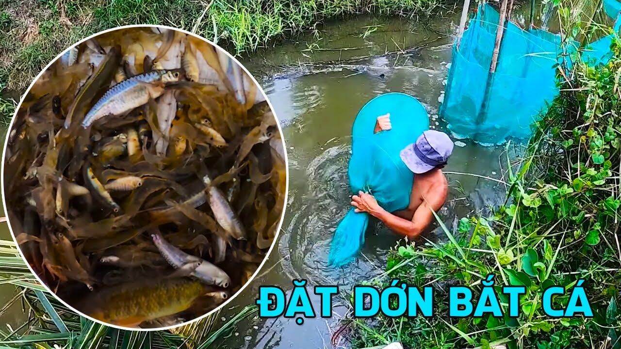 dớn đặt,  đánh bắt thủy  sản