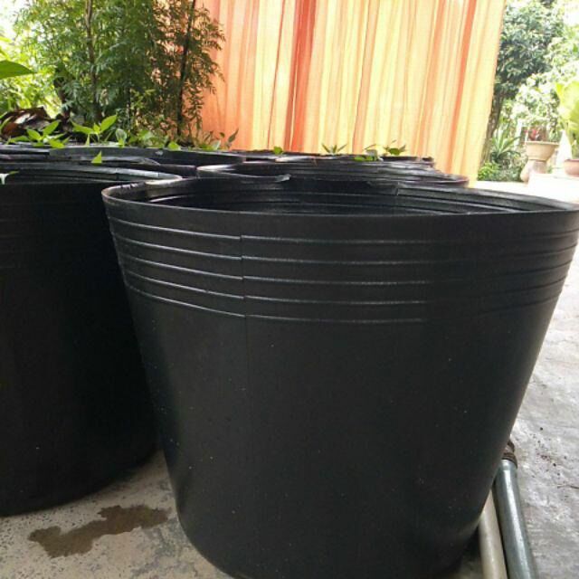 COMBO 5Cái Chậu đen dẻo C12 (loại dày tốt)