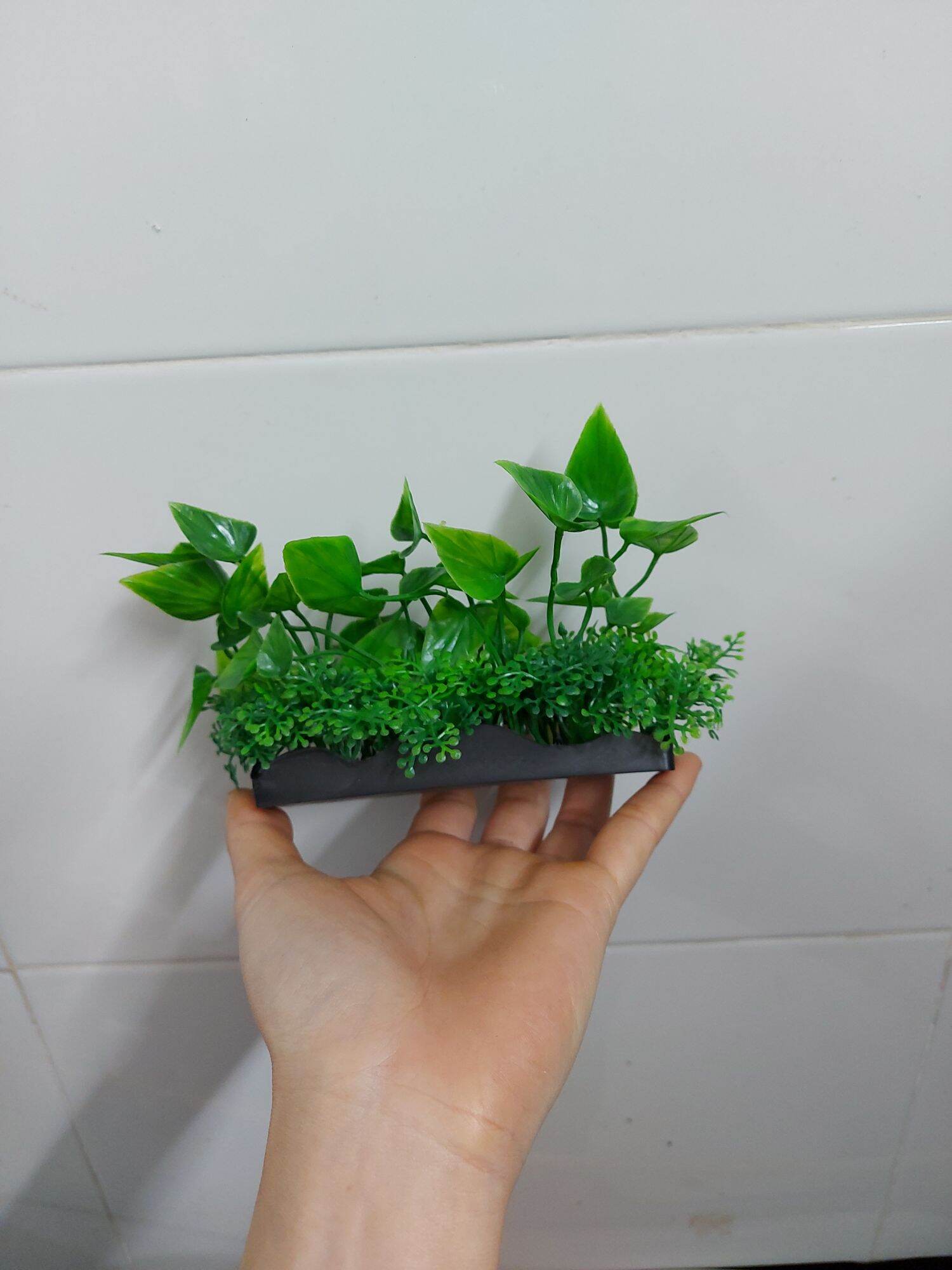 Cây nhựa trang trí bể cá: mẫu đế dài 12 cm