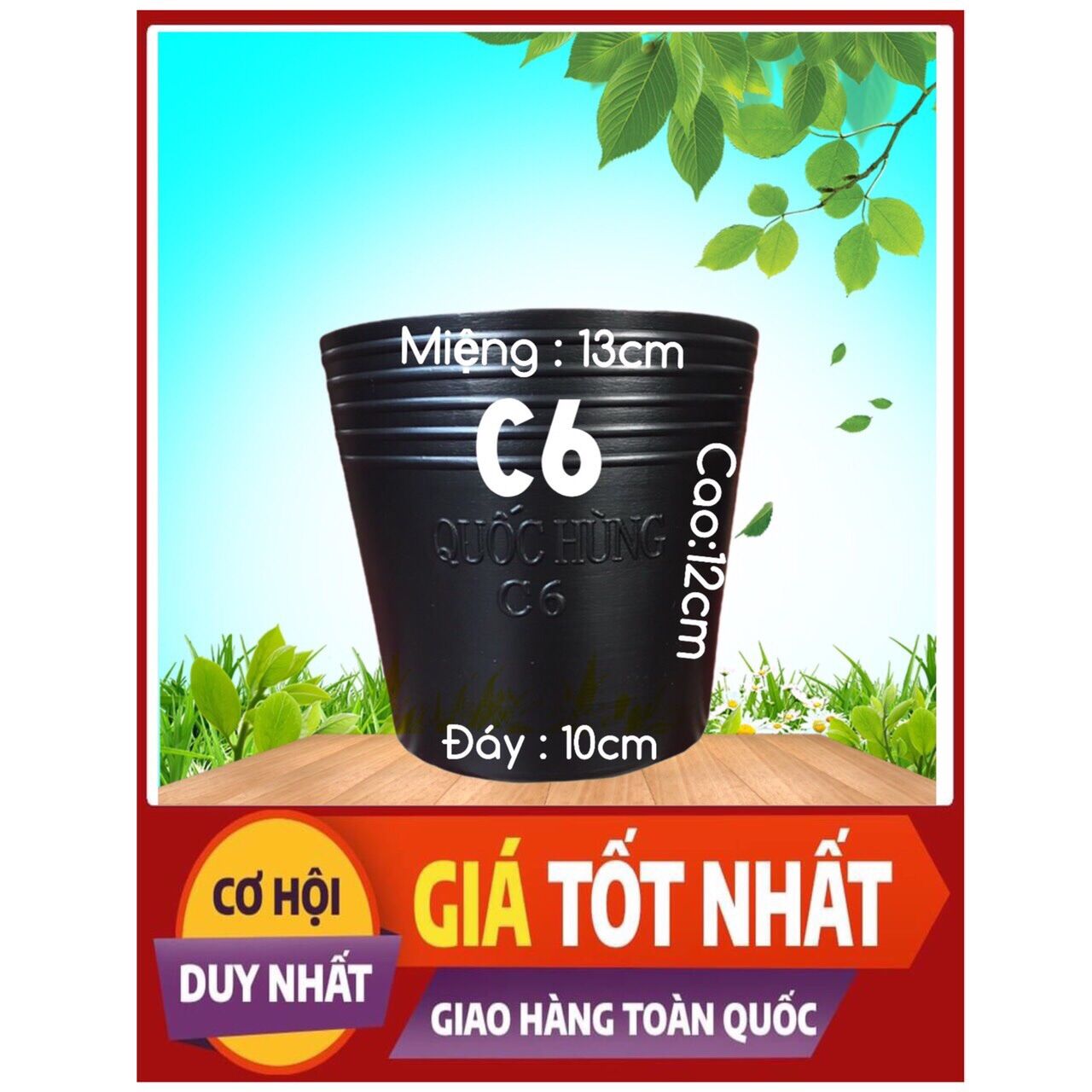 Combo 50 chậu C6 trồng cây