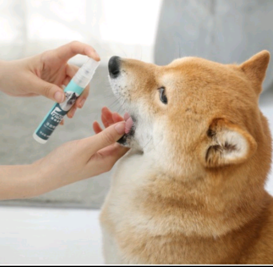 Xịt thơm miệng Fresh Friends cho chó mèo 14ml