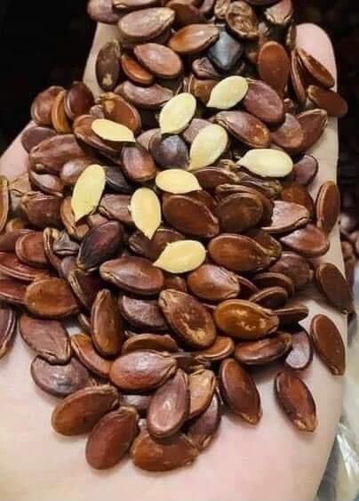 Hạt dưa sạch ngon Tứ Hưng hũ 500G