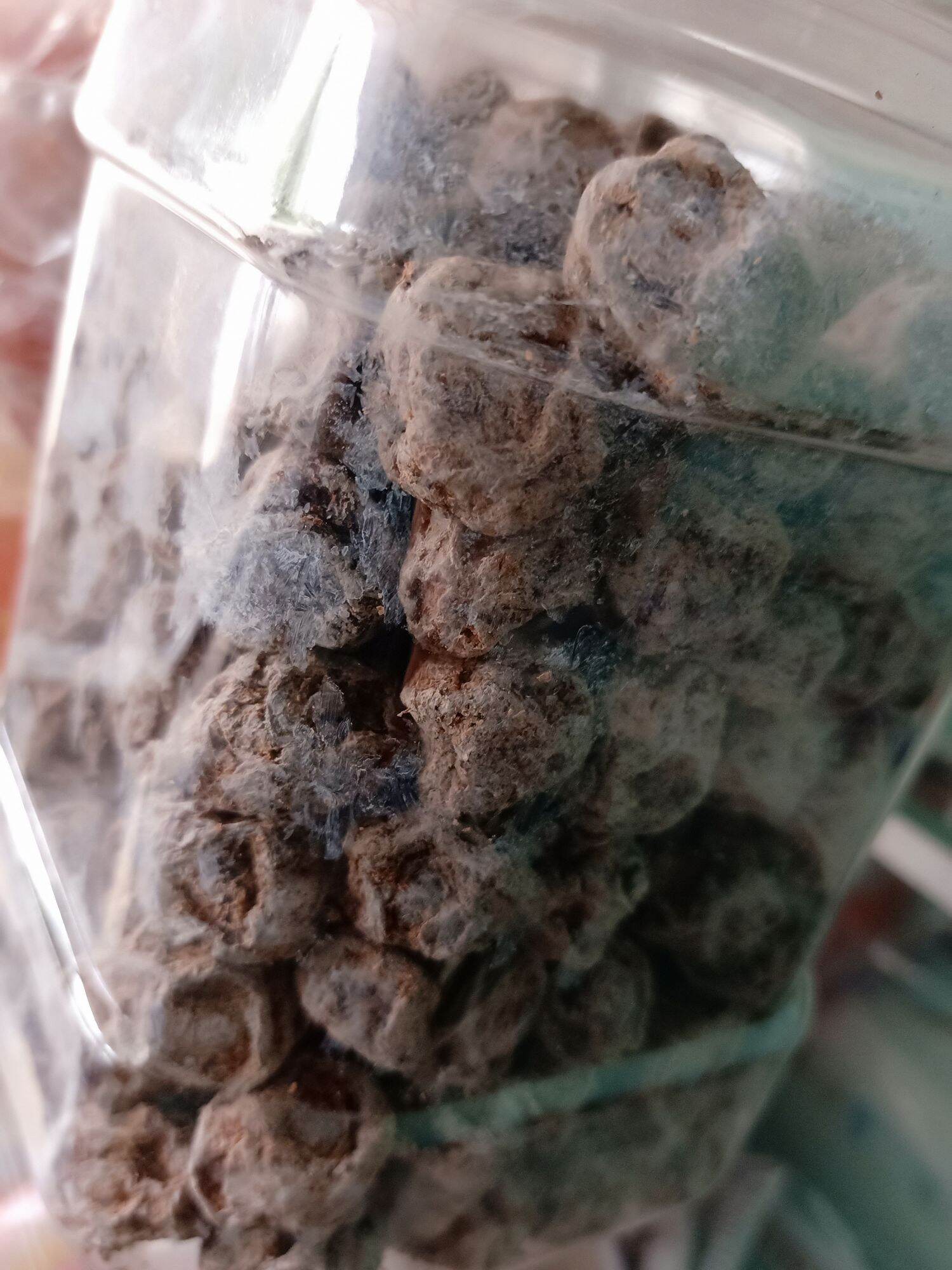 Xí muội mặn Thái Lan-35gr(7-8 cục)