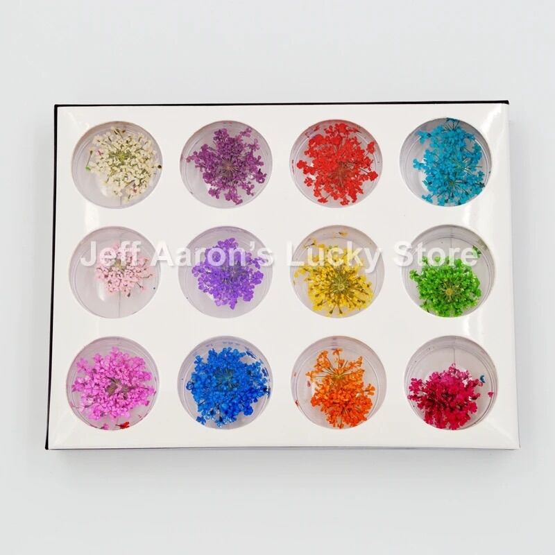 Set hoa khô chùm trang trí nail 12 màu