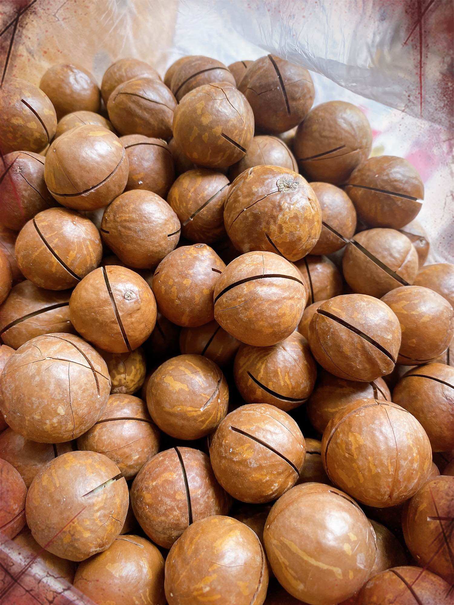 500Gr Macca Daklak size đại bao ngon