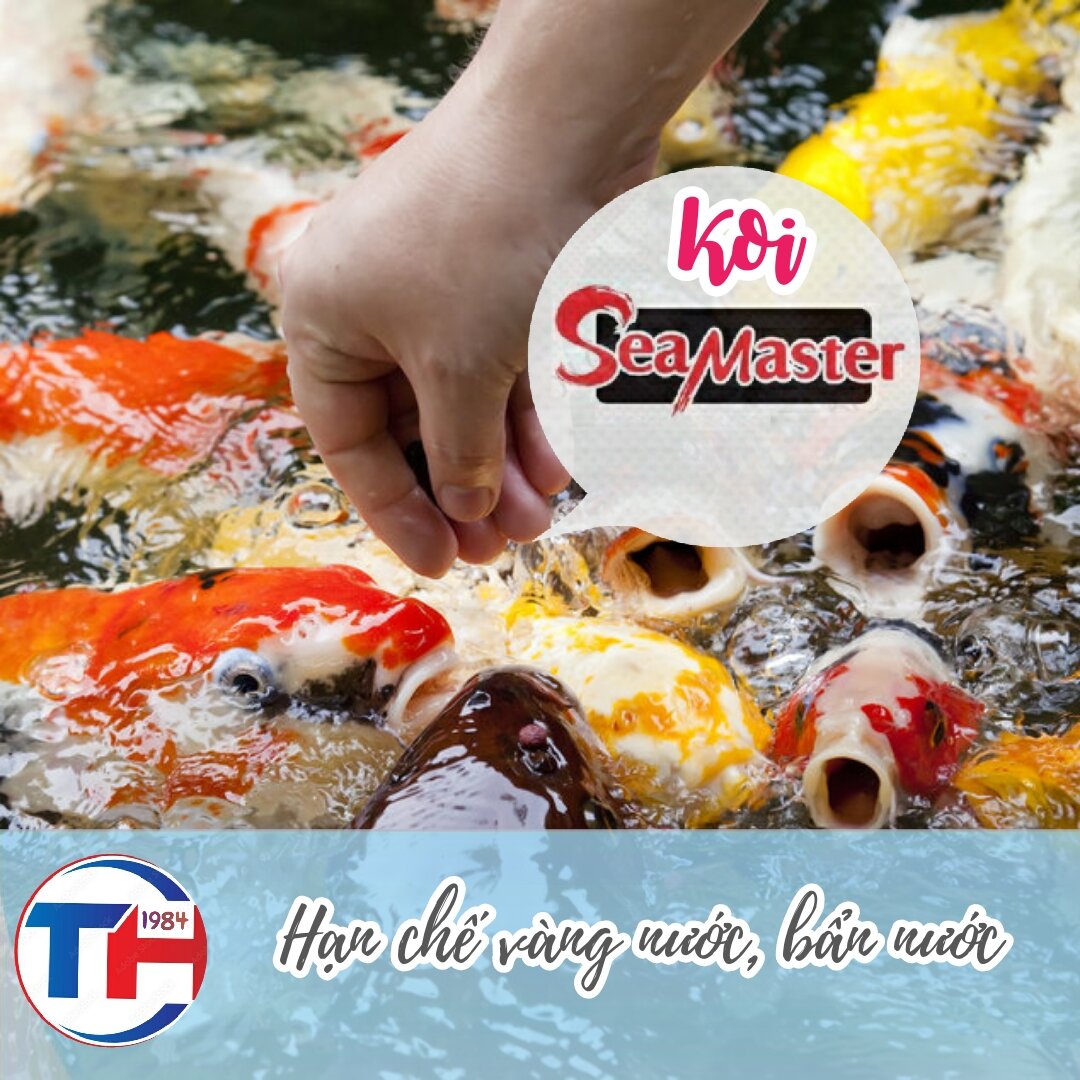 Cám cá Koi, cá Vàng SeaMaster || Túi 1Kg