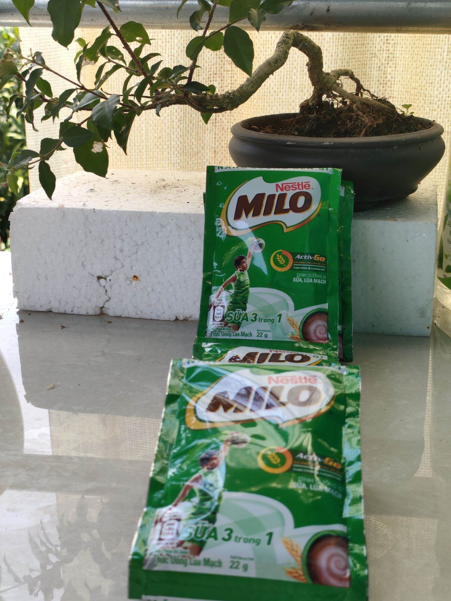 [HCM] Combo 2 Dây Sữa Milo Dây (10 gói × 22g)