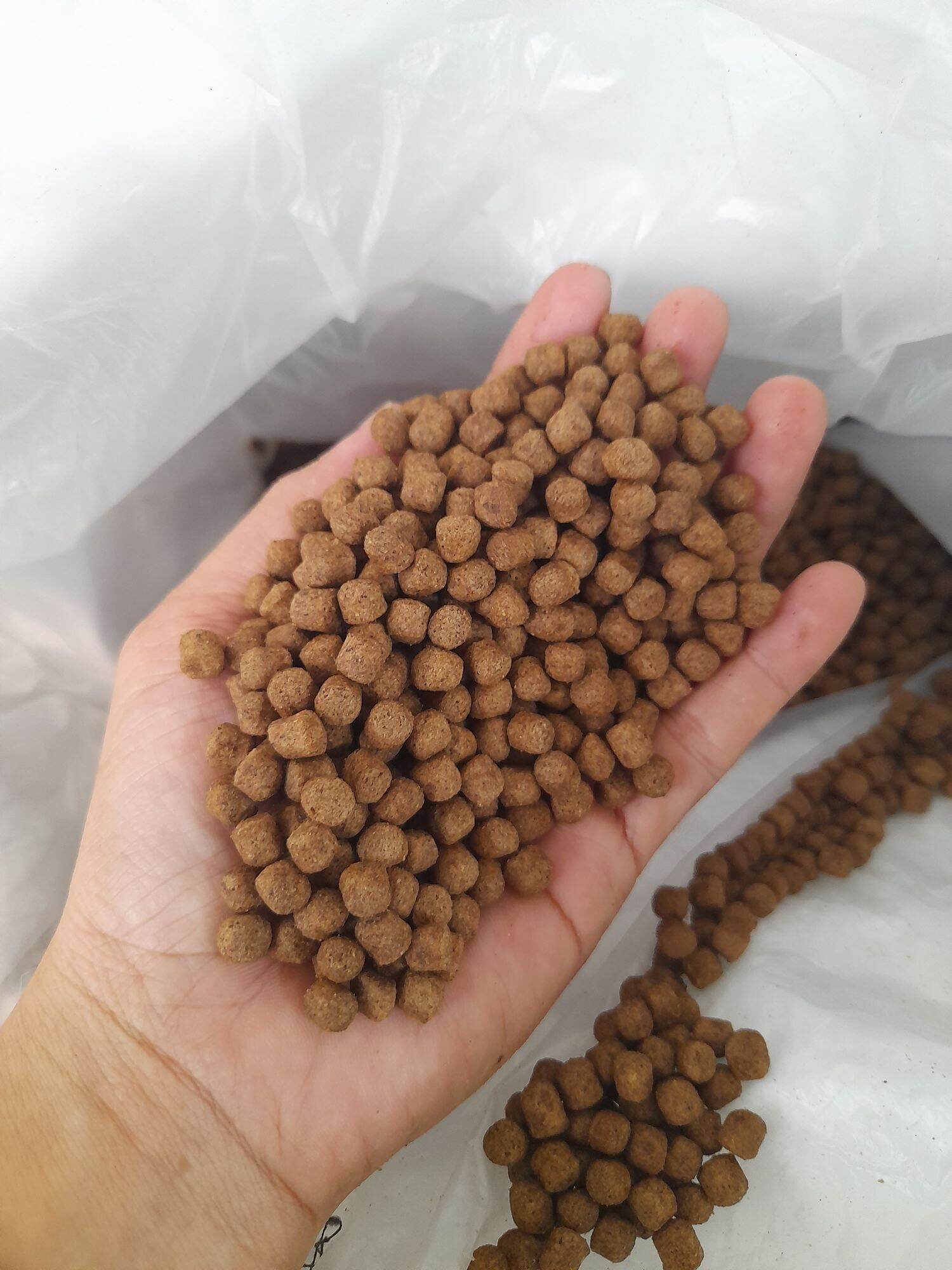 Thức ăn cá koi 1kg