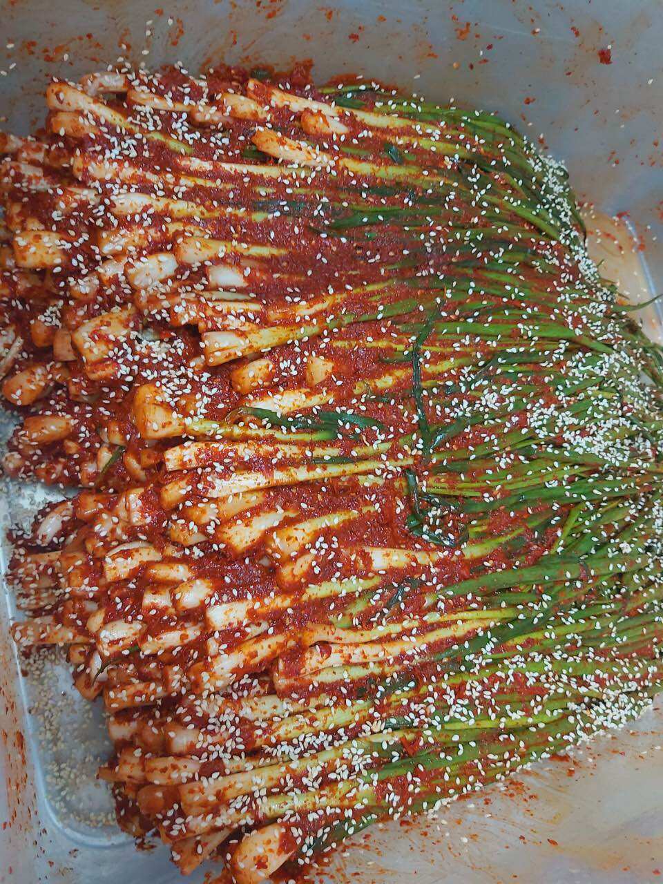 Kimchi hành lá MiMi(hộp 500gr)