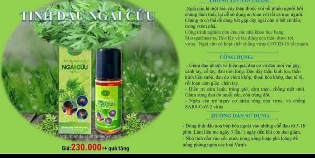 Tinh dầu ngải cứu