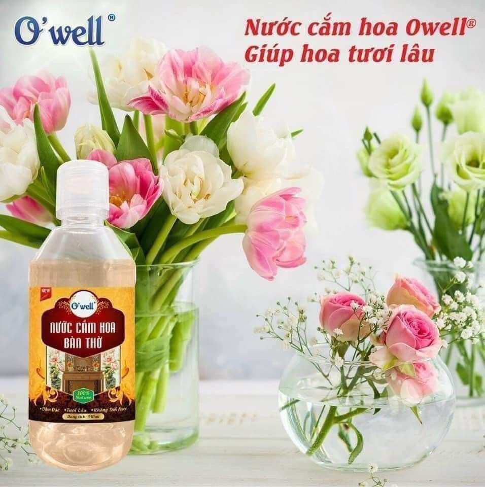 Nước cắm hoa owell
