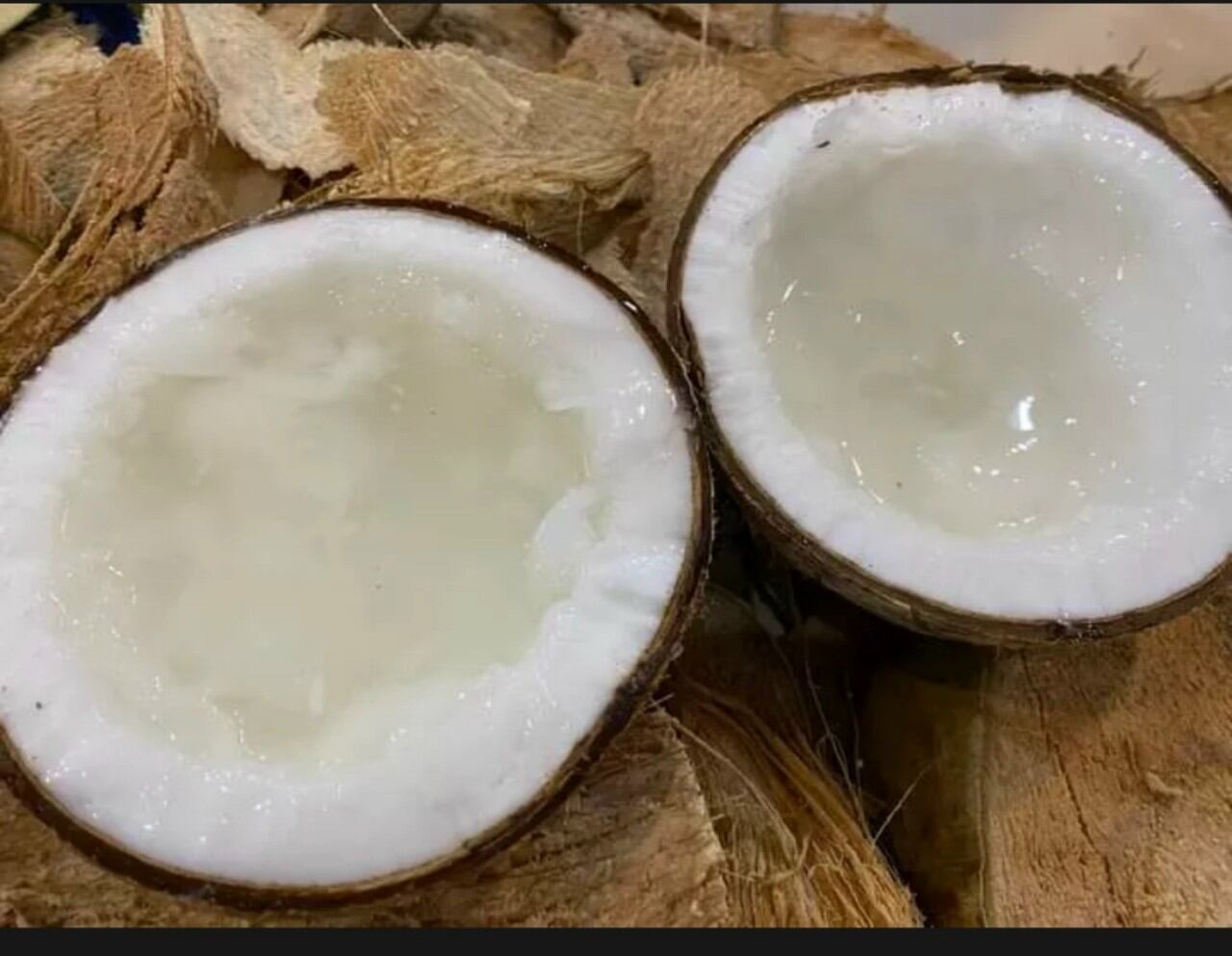 Dừa sáp dạng lỏng , cơm dẻo 1 trái hơn 1kg