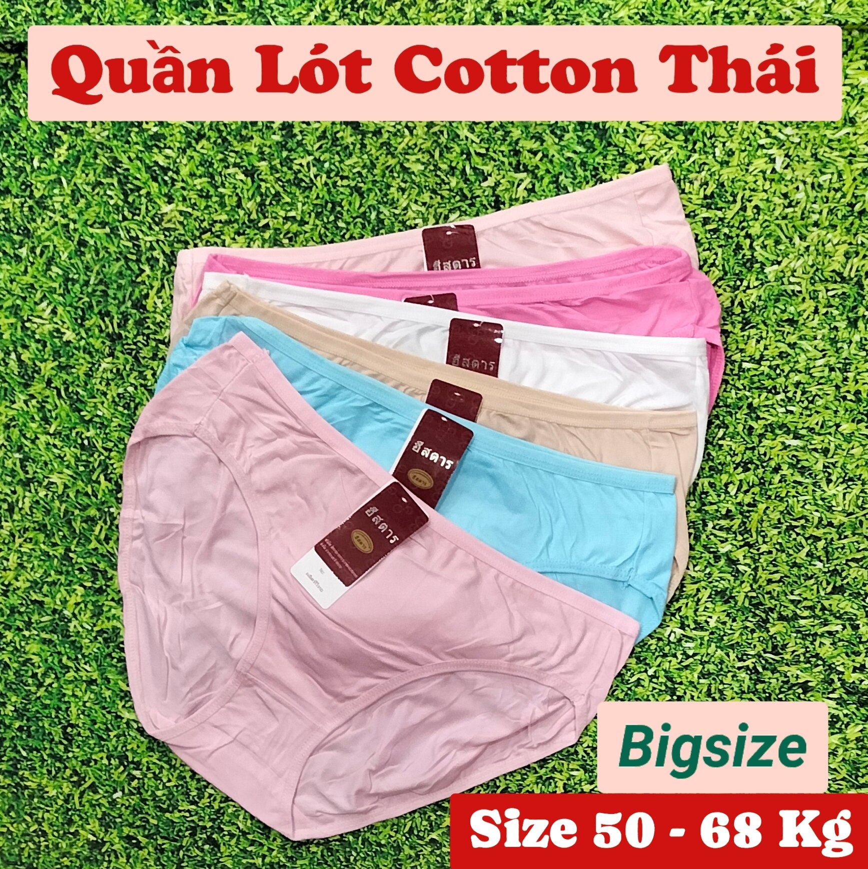 Combo 5 quần, 10 quần lót nữ cotton thái bigsize mịn mát, quần chip nữ đẹp