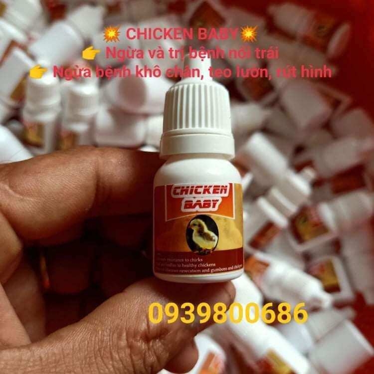 CHICKEN BABY, ÚM GÀ CON MỚI NỞ