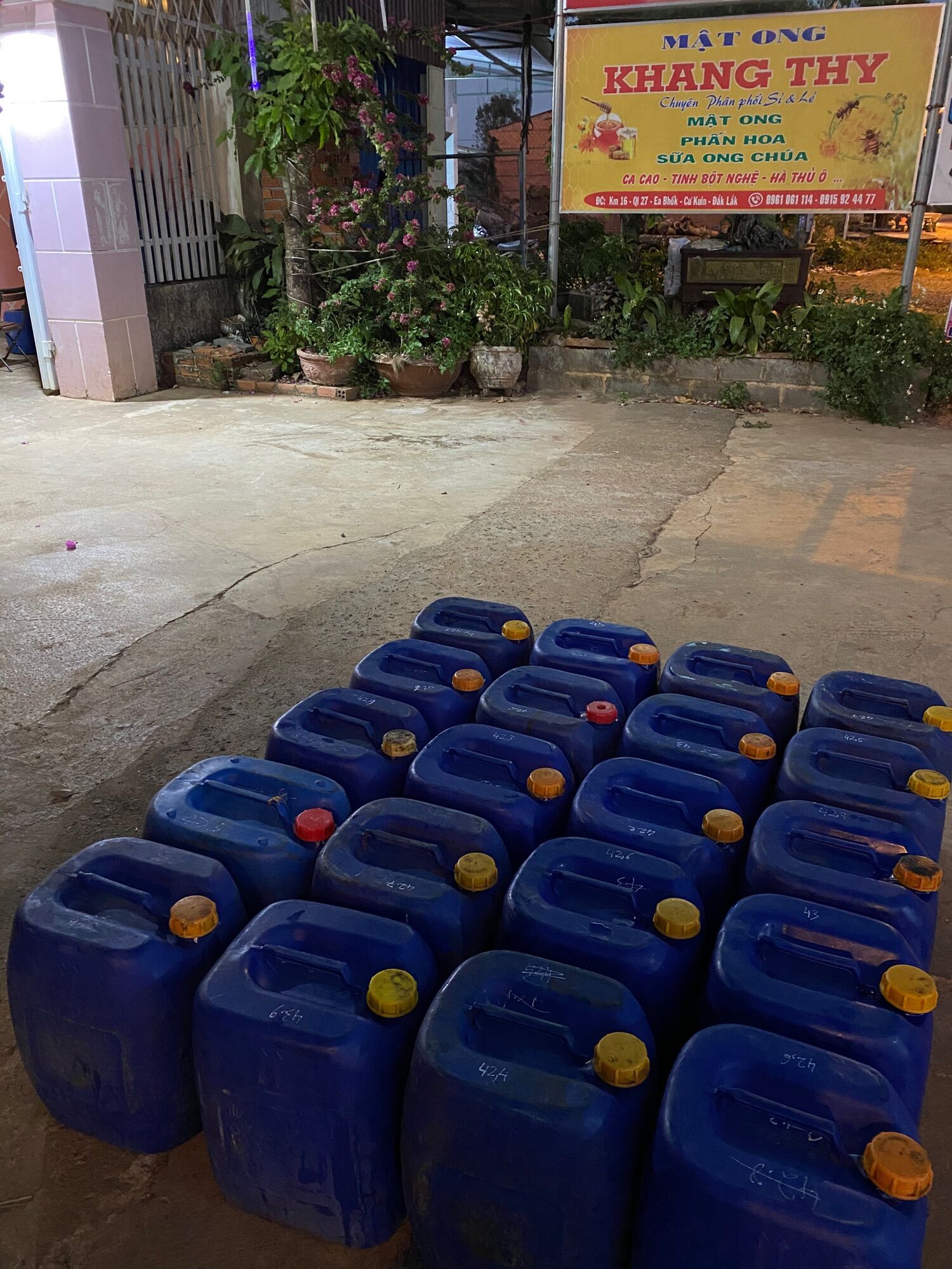 1 lít mật ong nguyên chất hoa cỏ kim