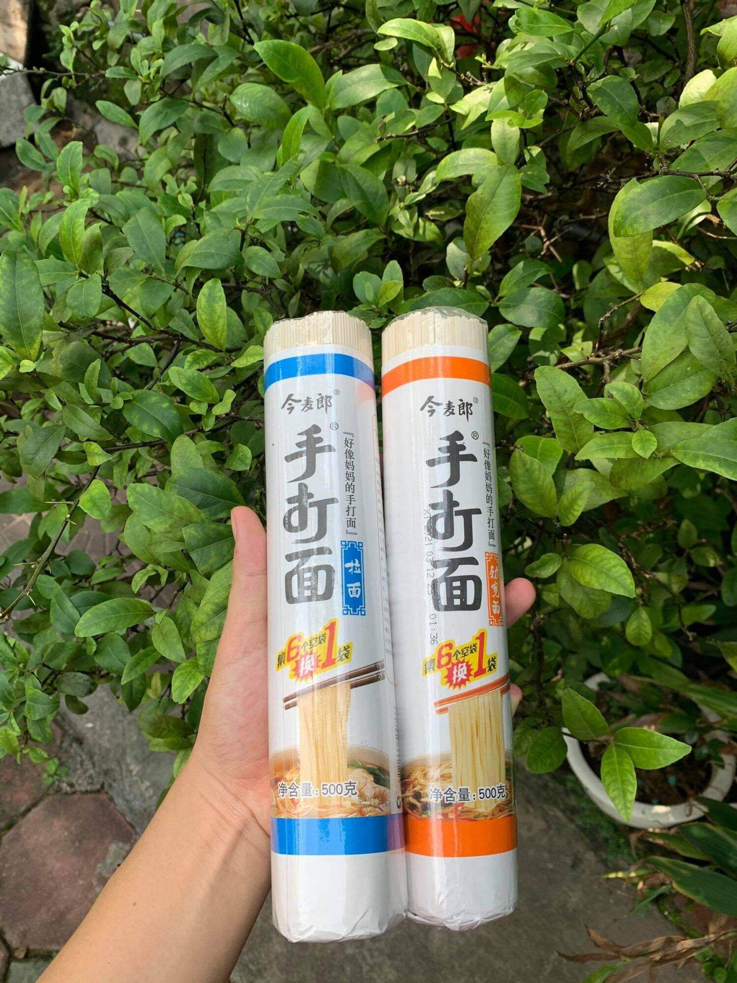 Mỳ trường thọ-mỳ bó tq 500g