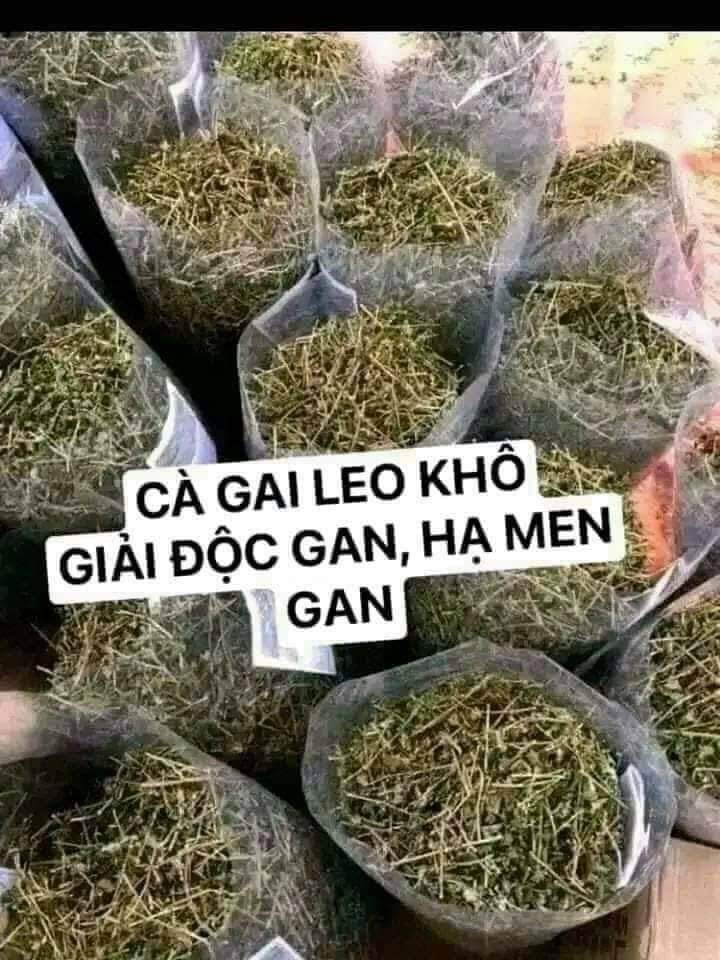 Cà gai leo, cà gai leo khô Hòa Bình ( 1Kg) mát gan