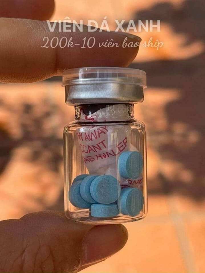 viên đá xanh gà chọi gà nòi gà tre gà đá gà đòn