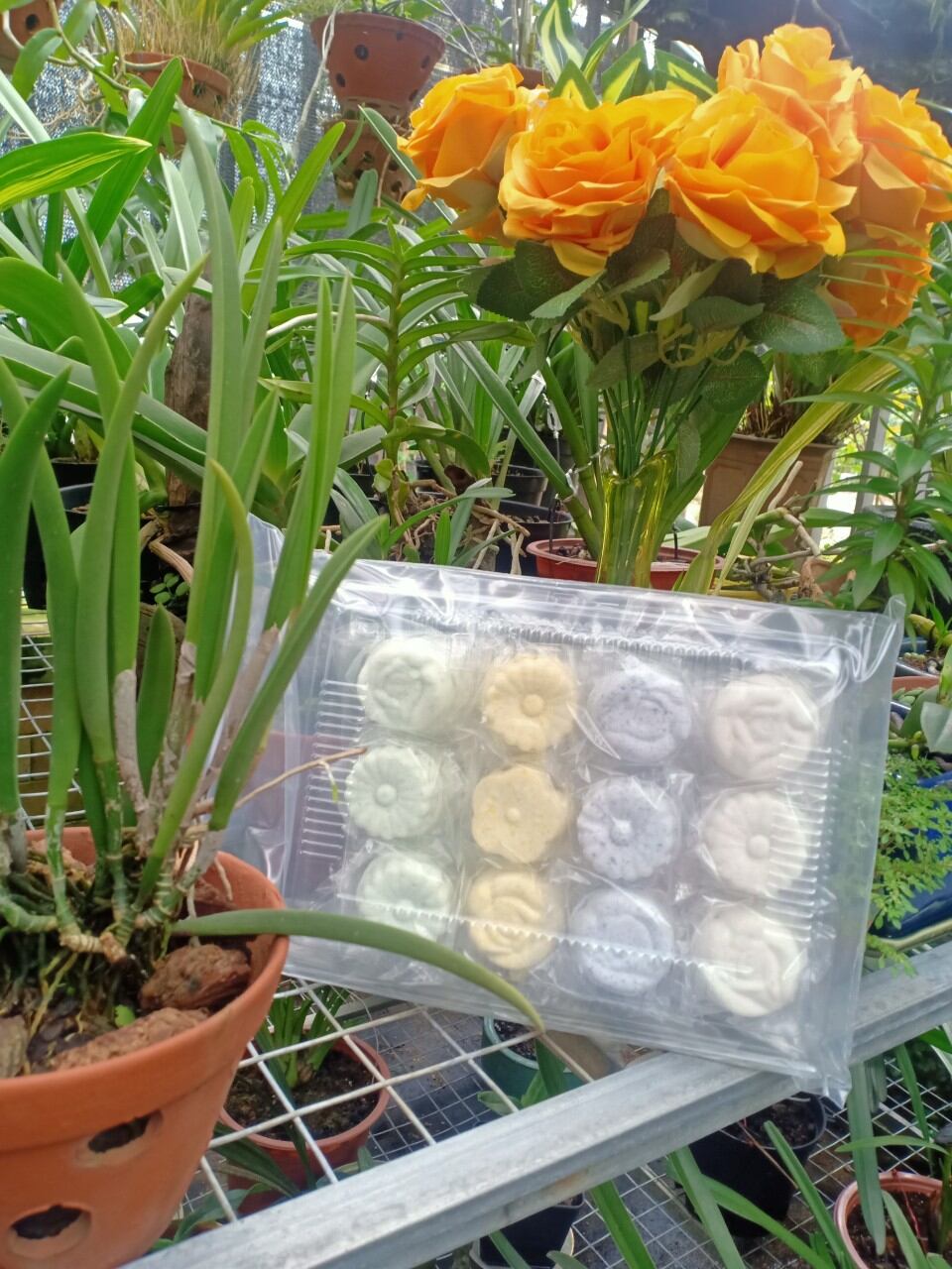 Bánh in dẻo nhân dừa non