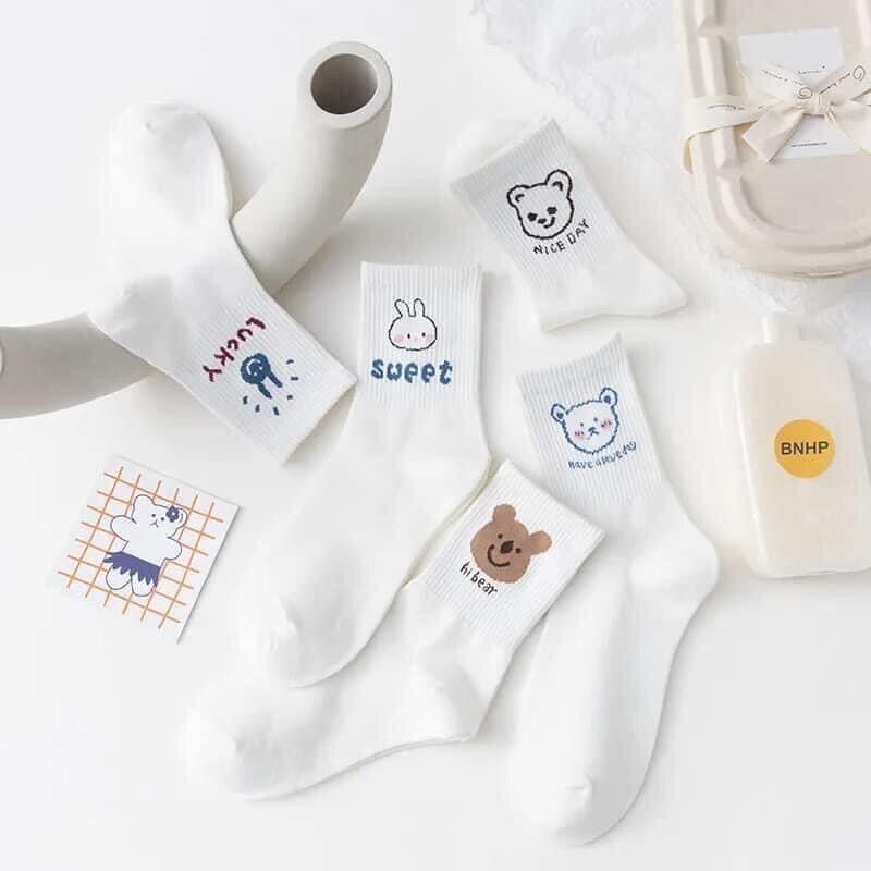 Set 10 đôi tất cổ cao phong cách Hàn Quốc