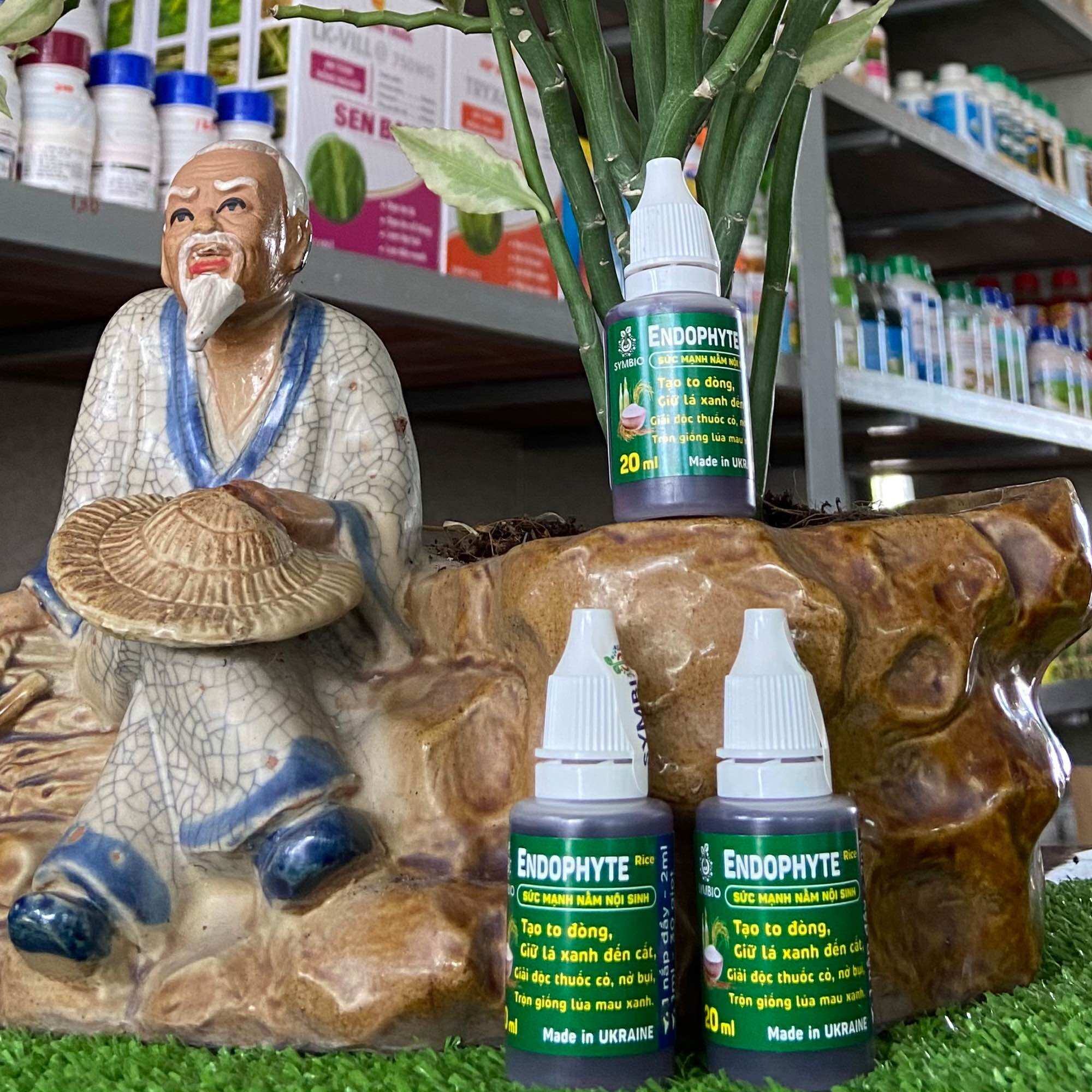 Phân bón sinh học endophyte của symbio
