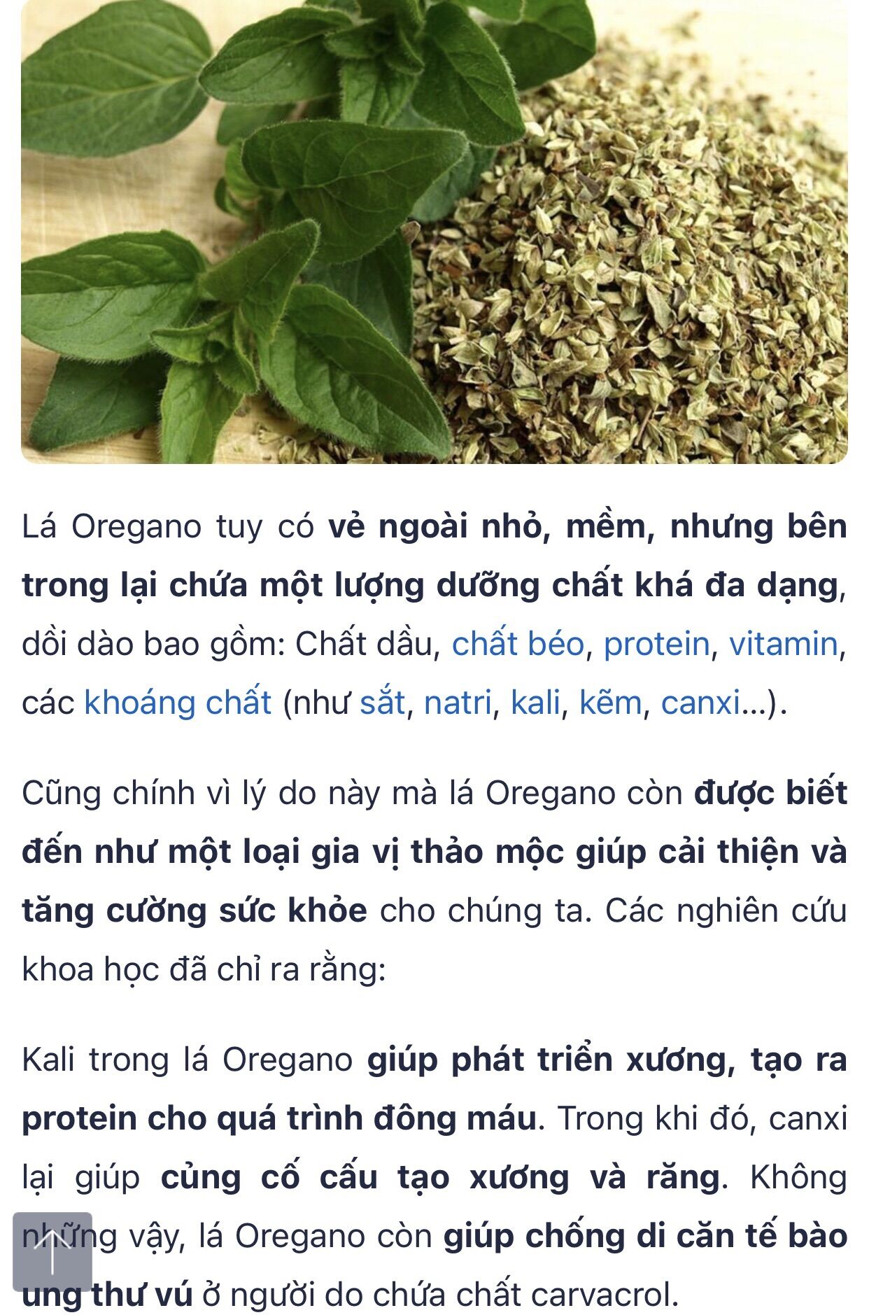 OREGANO MCCORMICK 5G