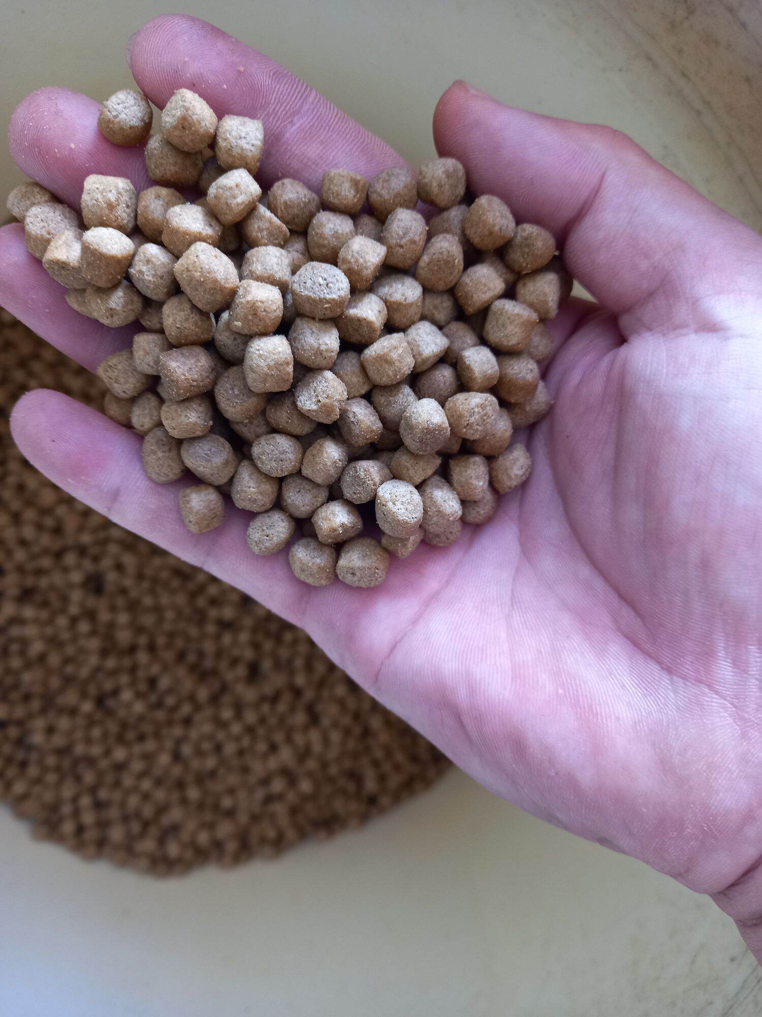 THỨC ĂN CÁ KOI, CÁ 3 ĐUÔI, CÁ CẢNH CÁC LOẠI ( 8LY 30% ĐẠM) 500gam/ bịt