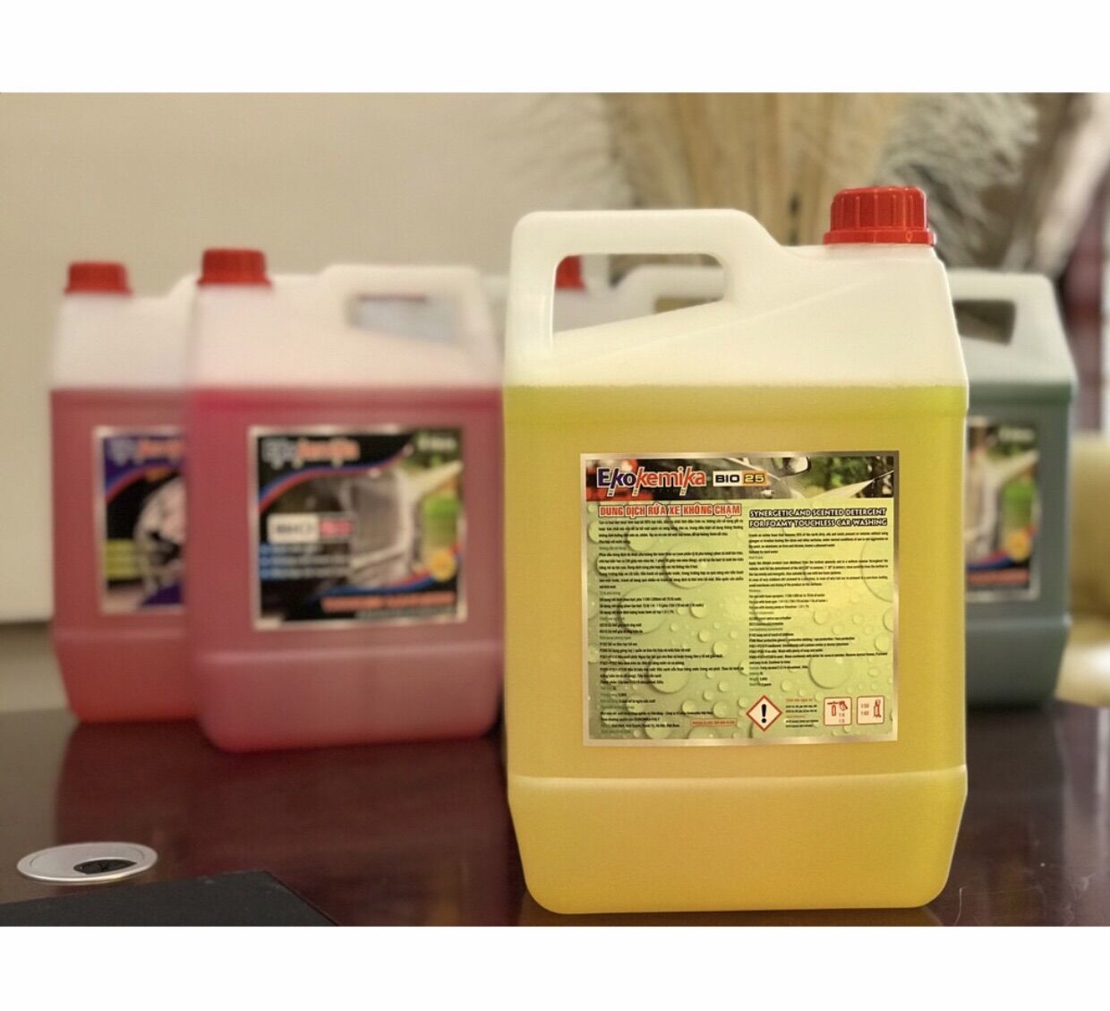Dung Dịch Rửa Xe Không Chạm BIO 25 ekokemika ( 5 lít )