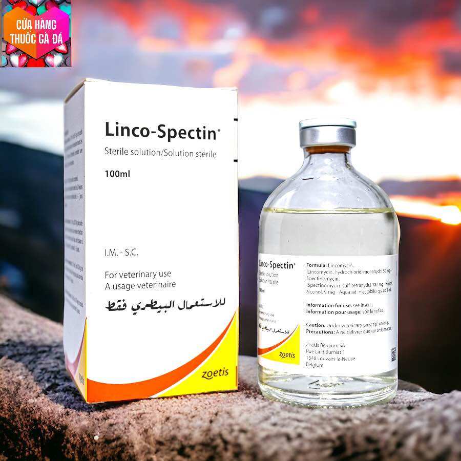LINCO SPECTIN chuyên gà bị tang, khò khè, sổ mũi, phân xanh phân trắng