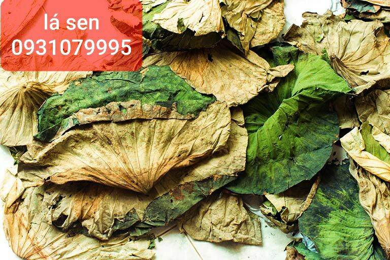 Lá sen nguyên lá phơi khô 1kg