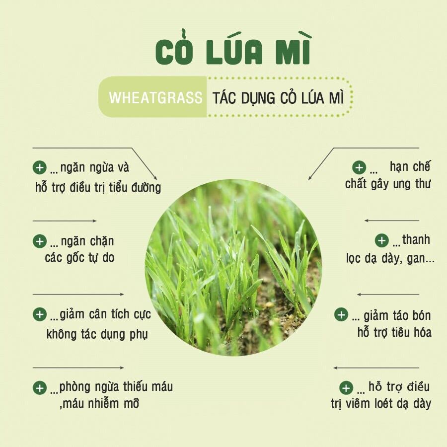[Tách lẻ 50g] Bột cỏ lúa mì non hữu cơ Diet Food - Date 3/23