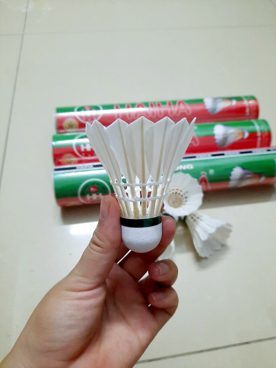 quả cầu lông hải hà