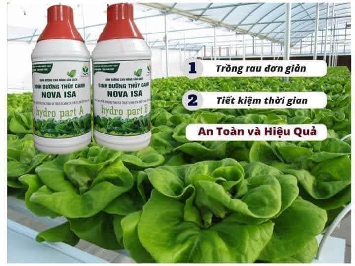 Dinh dưỡng thủy canh bột. Nova isa 20