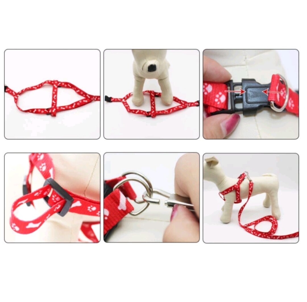 [HCM]Dây dắt chó mèo đi dạo