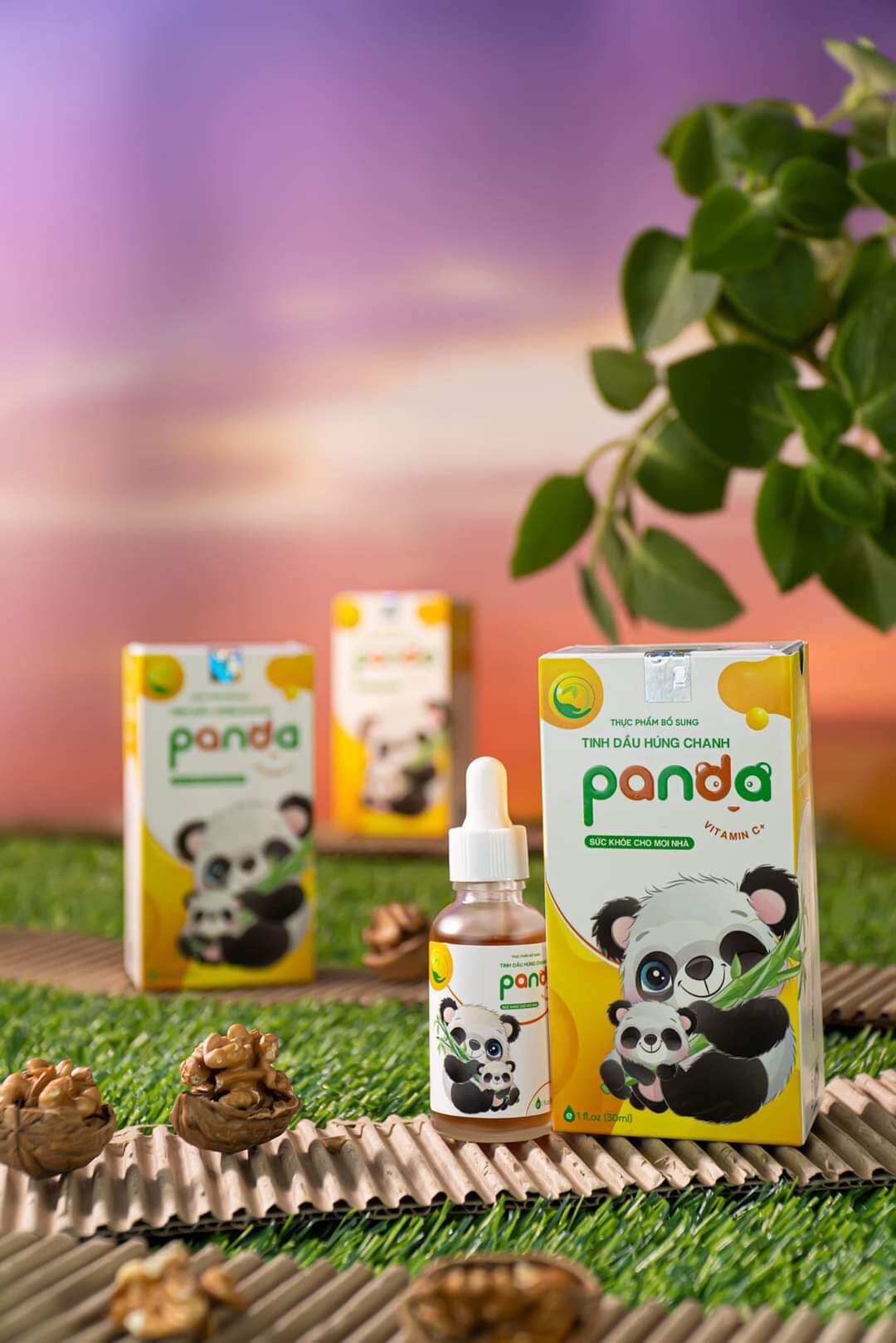[ Chính hãng ] Tinh dầu húng chanh Panda