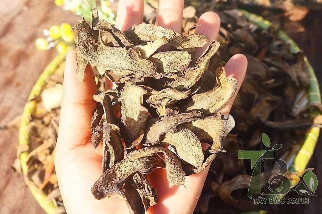 Cốt toái bổ ( tắc kè đá) khô 1kg