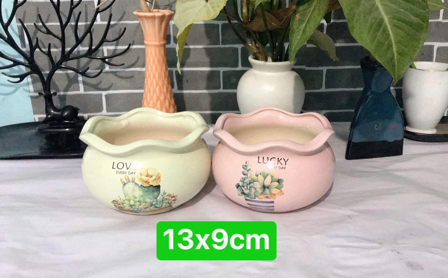 Chậu sứ trồng cây