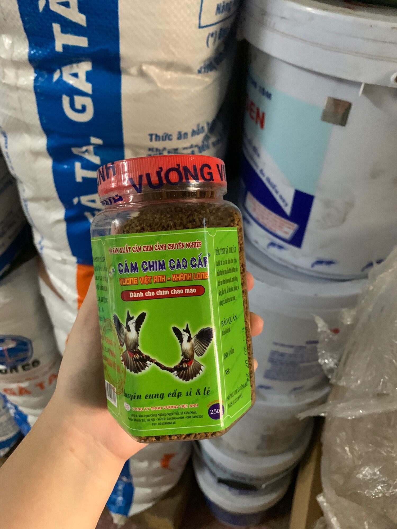 Cám chào mào Khánh Long lon lớn 500 gram