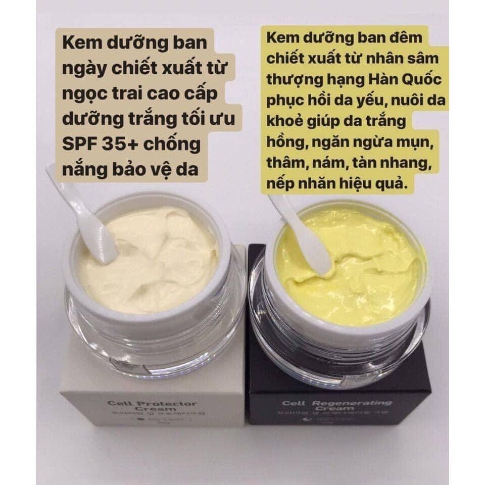 Combo kem ngày đêm Dr.Shee