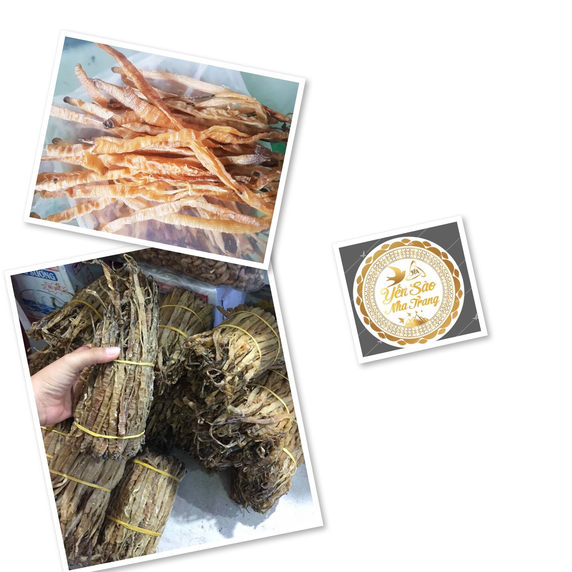 [Type 1] 100g Medium-Sized Dried Sea Cucumbers