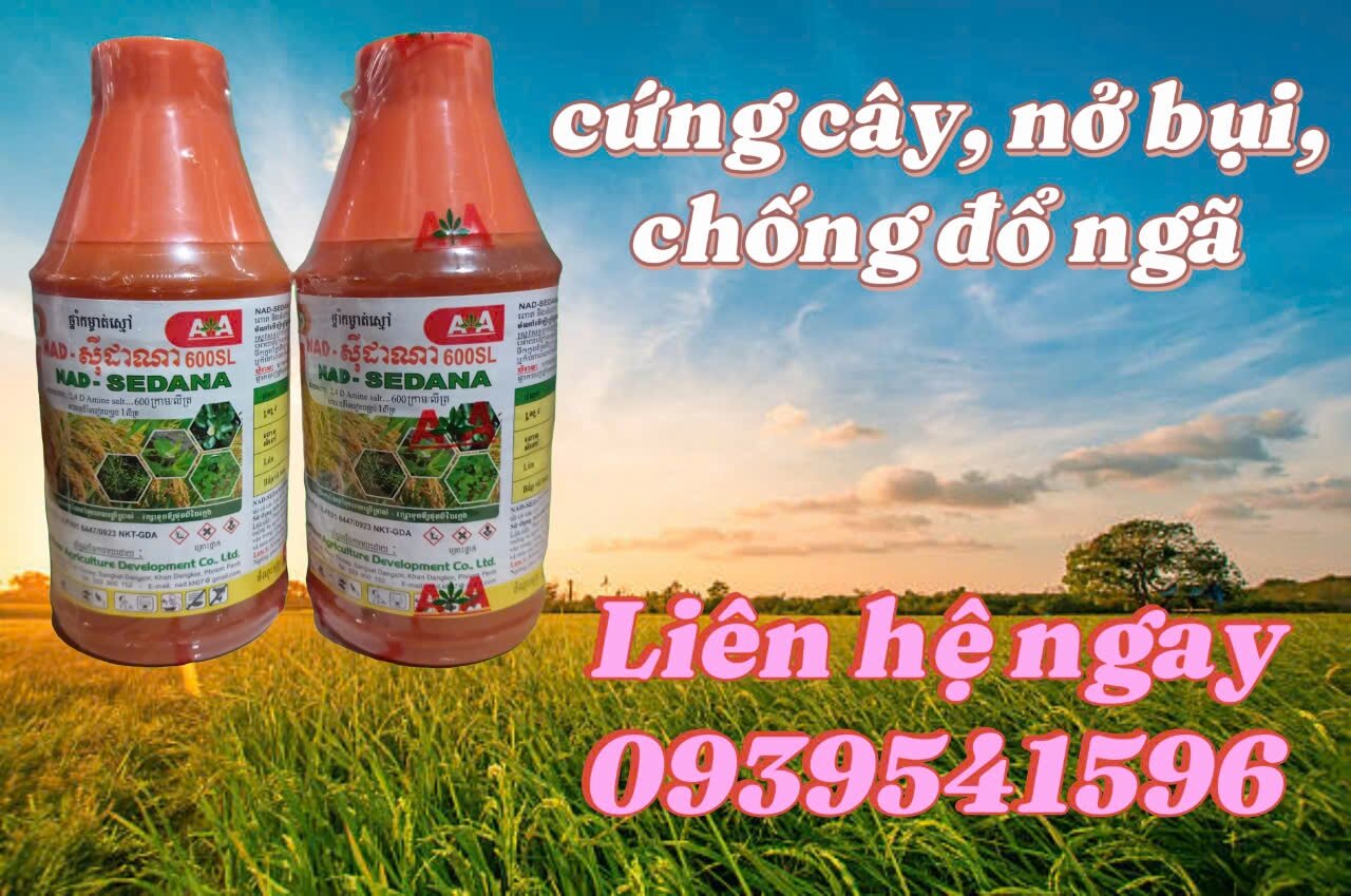   Combo 5   Free ship Thuốc trừ cỏ 2,4d 600sl SEDANA hàng nhập cambodia 