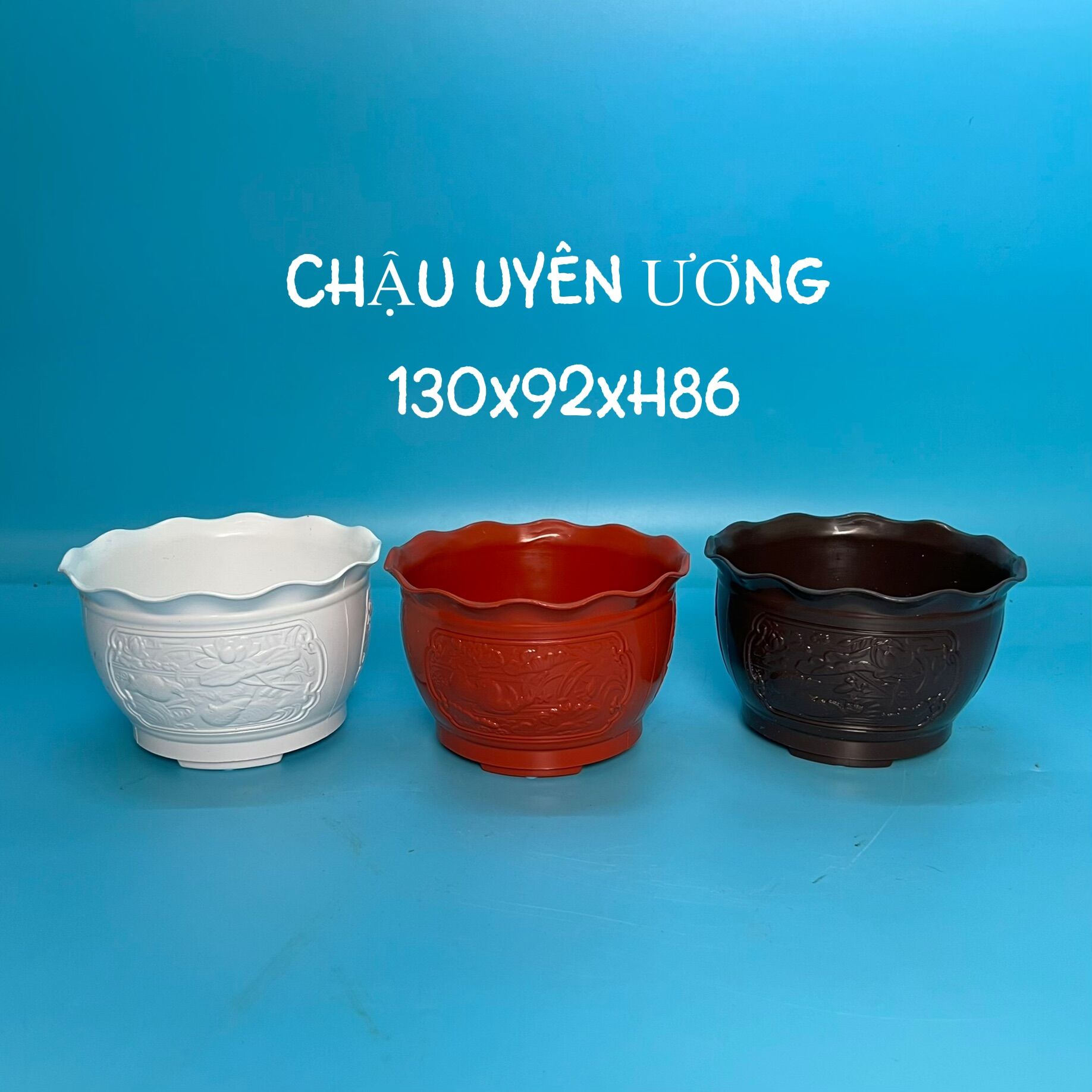 Chậu nhựa trồng cây , Chậu mini trồng sen đá