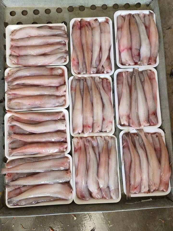 1kg of Large Sun-Dried Croaker Fish (Fast Delivery Within 2 Hours in Ho Chi Minh City)